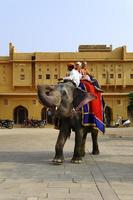 Jaipur, India - 11 novembre 2019, turisti che si godono un giro in elefante nel forte di ambra foto