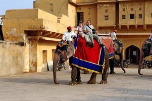 Jaipur, India - 11 novembre 2019, turisti che si godono un giro in elefante nel forte di ambra foto
