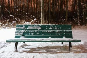 una panchina di legno verde vuota ricoperta di neve bianca e ghiaccio foto