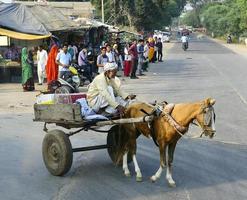 ranthambhore, india - 10 novembre 2019, cavallo e carretto che escono dalla strada laterale