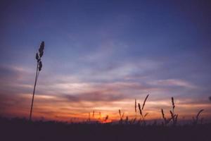 nuvole del cielo al tramonto foto