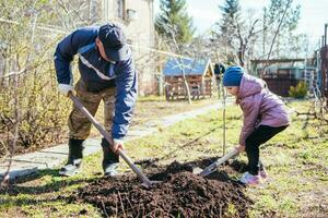 contento padre e figlia piantare un' nuovo albero nel il villaggio nel primavera foto