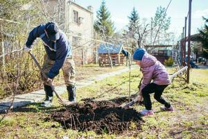 padre insegnamento il suo figlia Come per pianta un' nuovo albero nel primavera foto