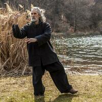 maturo uomo praticante tai chi disciplina all'aperto foto