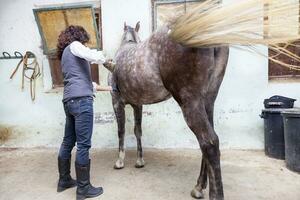 attraente signora ciclista sposi il suo cavallo prima il cavalcata foto