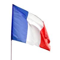 bandiera della francia tagliata foto