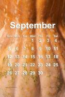 zucca superficie e mensile calendario foto