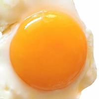uovo fritto isolato su bianco con copia spazio foto