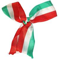 coccarda bandiera nazionale italiana foto