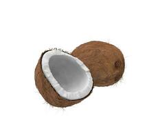 noci di cocco - isolato su bianca sfondo foto