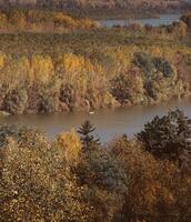 fiume e foresta in autunno foto