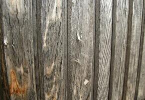 trama di recinzione in legno foto