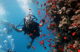 immersione nel il rosso mare nel Egitto, tropicale scogliera foto