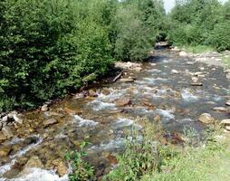 montagna fiume e verde cespugli foto