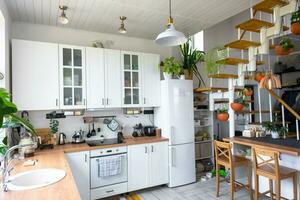 il generale Piano di un' leggero bianca moderno rustico cucina con un' componibile metallo scala decorato con in vaso impianti. interno di un' Casa con homeplants foto