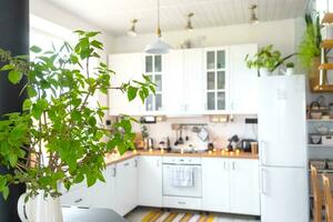 leggero bianca moderno rustico cucina decorato con in vaso impianti, in stile loft cucina utensili. interno di un' Casa con homeplants foto