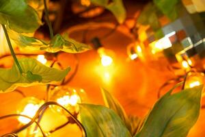 di legno sfondo con ghirlanda lampade e verde le foglie di un' casa in vaso pianta e un' raggiante sfera. telaio con un' Natale pianta foto