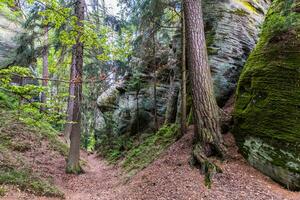 stretto sentiero fra il rocce nel il foresta foto
