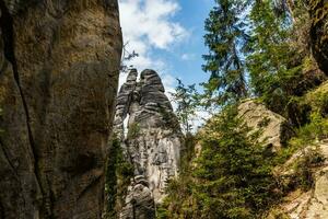 grigio pietra di il roccia nel il mezzo di il europeo verde in profondità foresta foto