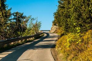 il strada alto su nel il montagne con pezzi di foresta e coppia di cespugli su tutti e due lati e con blu cielo su il sfondo foto