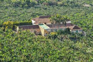 un' Casa circondato di Banana alberi nel il mezzo di un' giungla foto