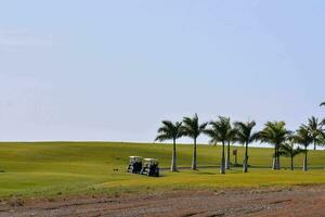 un' golf campo foto