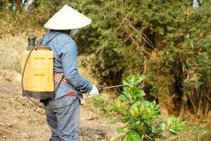 asiatico giardiniere usi erbicidi, insetticidi chimico spray per ottenere sbarazzarsi di erbacce e insetti o pianta malattia nel frutteto. causa aria inquinamento. ambientale , agricoltura sostanze chimiche concetto. foto