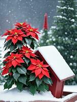 foto di Natale poinsettia pianta accanto un' coperto di neve casetta per gli uccelli. ai generato