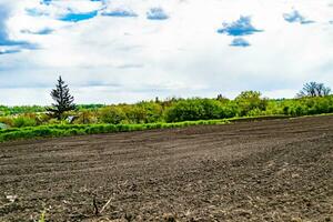 fotografia su tema grande vuoto azienda agricola campo per biologico raccogliere foto