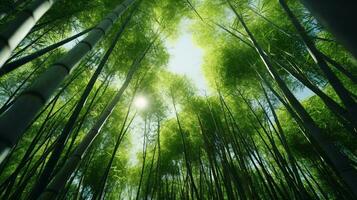 un' sereno bambù foresta raggiungendo per il cieli ai generato foto
