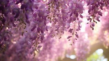 un' vivace Schermo di viola fiori sospeso a partire dal un' albero ai generato foto