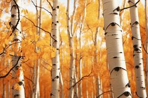 un' sereno autunno paesaggio con d'oro giallo le foglie nel un' tranquillo, calmo boschetto di alberi ai generato foto