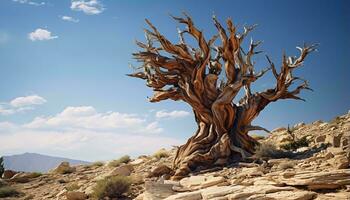 un' maestoso antico albero in piedi solo nel il sterile deserto paesaggio ai generato foto