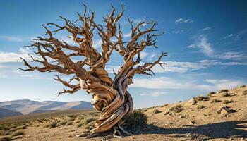 un' maestoso antico deserto albero in piedi alto nel il sterile paesaggio ai generato foto