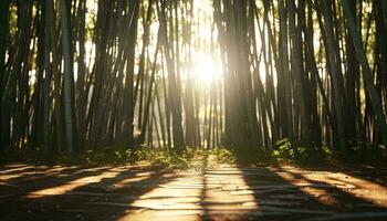 luce del sole filtraggio attraverso bambù alberi ai generato foto