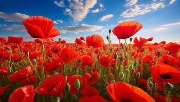un' vivace campo di rosso fiori sotto un' chiaro blu cielo ai generato foto