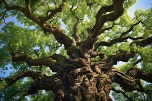 un' maestoso alto albero coperto nel lussureggiante verde le foglie ai generato foto