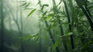 un' vivace bambù pianta scintillante nel il pioggia ai generato foto