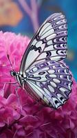 un' bellissimo farfalla arroccato su un' vivace rosa fiore ai generato foto