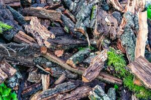 fotografia a tema grande parete di tronchi di quercia impilati nelle fessure foto