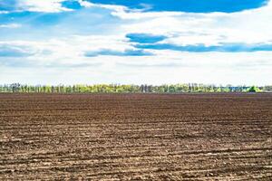 fotografia su tema grande vuoto azienda agricola campo per biologico raccogliere foto