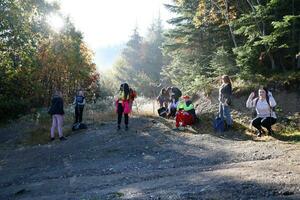 carpazi montagne, Ucraina - ottobre 8, 2022 montare hoverla. Carpazi nel Ucraina nel autunno foto