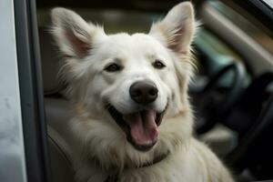 divertente cane su di auto finestra. neurale Rete ai generato foto