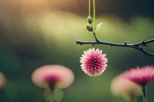 rosa fiori sospeso a partire dal un' ramo nel il sole. ai-generato foto