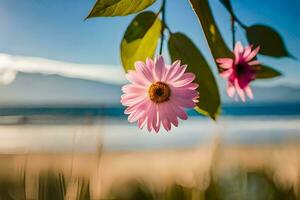 Due rosa fiori siamo su un' ramo vicino il spiaggia. ai-generato foto