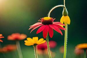 rosso e giallo fiori nel un' campo con luce del sole. ai-generato foto