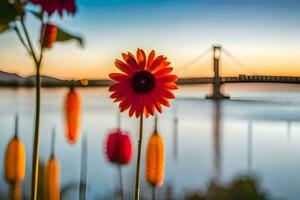 un' fiore sta nel davanti di un' ponte a tramonto. ai-generato foto