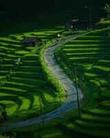 sbalorditivo rurale visualizzazioni con bellissimo verde riso terrazze, nel Indonesia foto