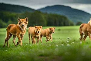 un' gruppo di Marrone cani a piedi nel il erba. ai-generato foto