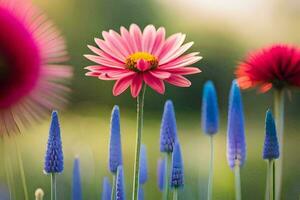 rosa fiore e blu fiori nel un' campo. ai-generato foto